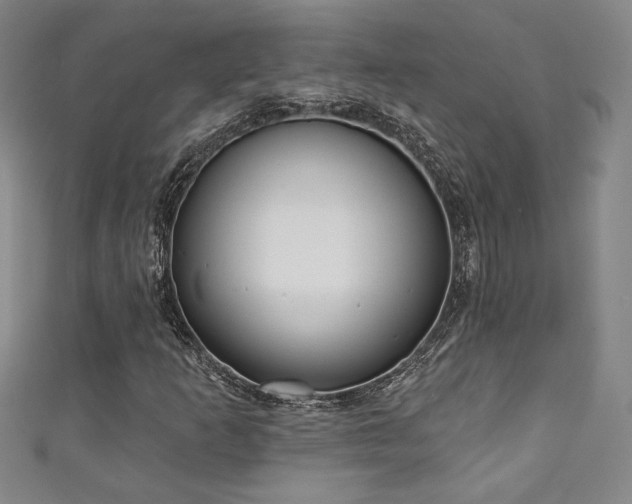 X0000111131253200906301203