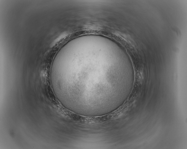 X0000111131254200906301203