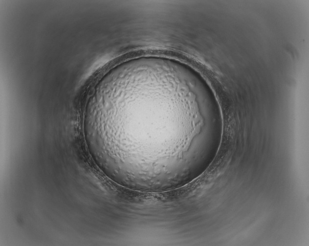 X0000111131255200906301203