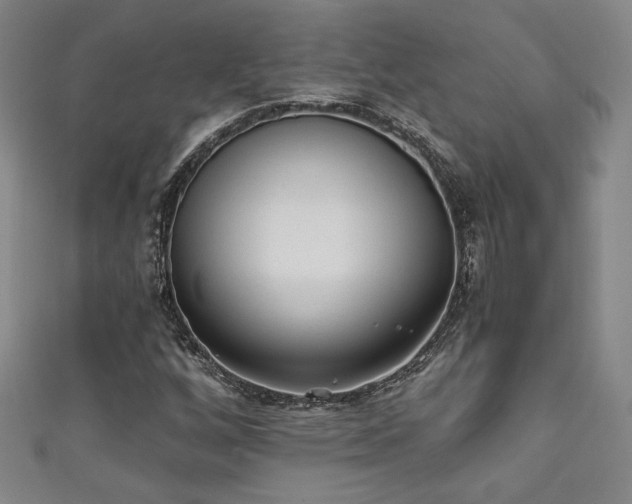 X0000111131256200906301203