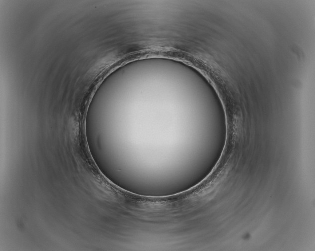 X0000111131257200906301203