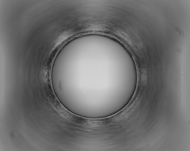 X0000111131258200906301203