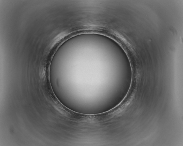 X0000111131259200906301203