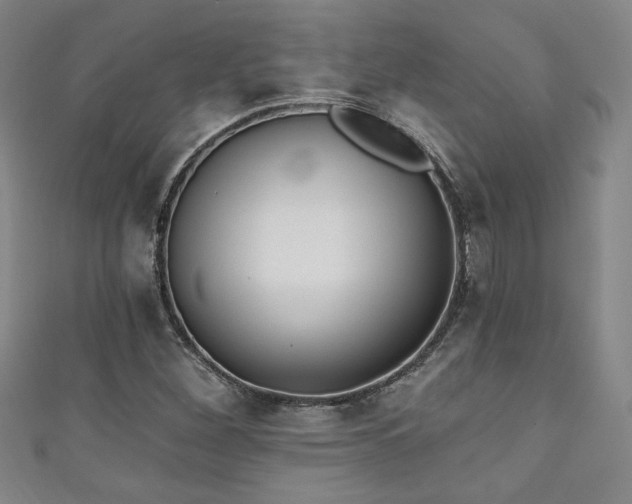 X0000111131260200906301203