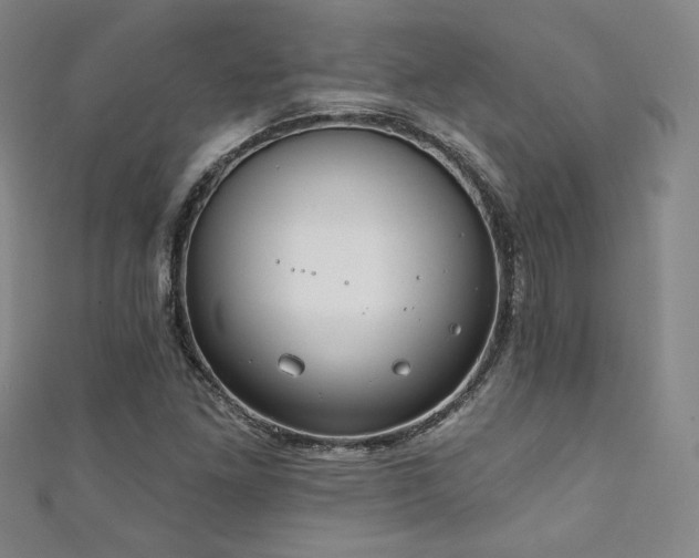 X0000111131261200906301203