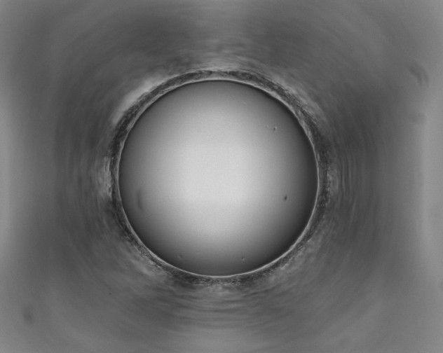 X0000111131262200906301203