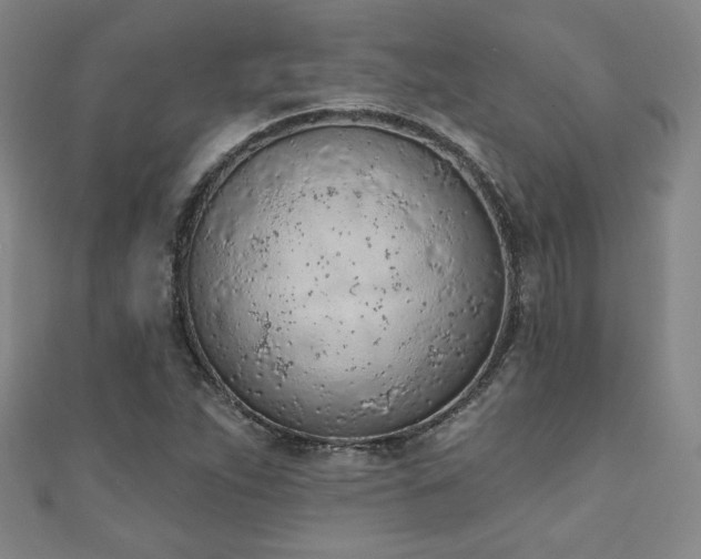 X0000111131263200906301203