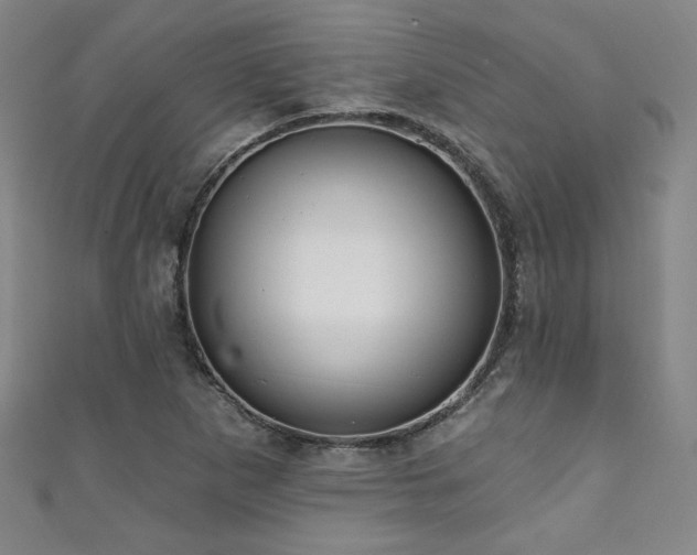 X0000111131265200906301203