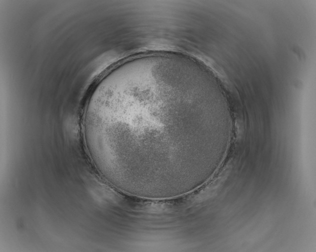 X0000111131266200906301203
