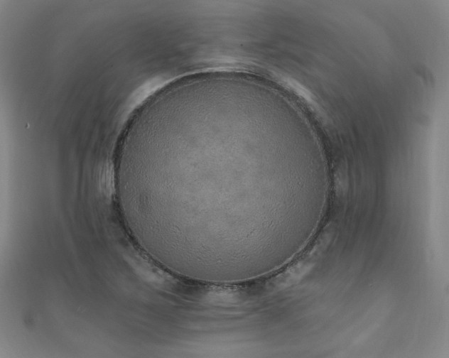 X0000111131267200906301203