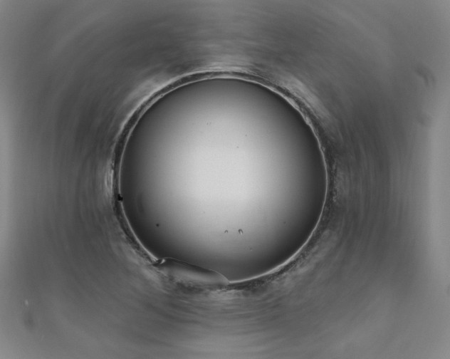 X0000111131268200906301203