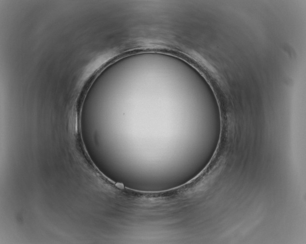 X0000111131269200906301203