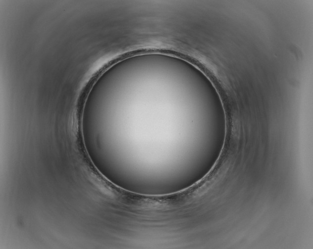 X0000111131270200906301203