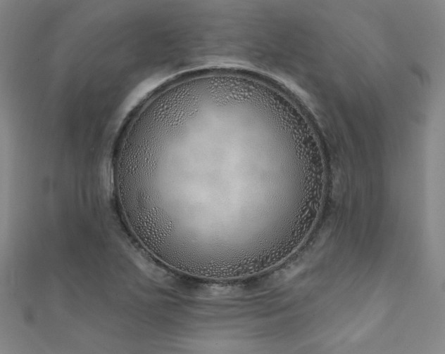 X0000111131271200906301203