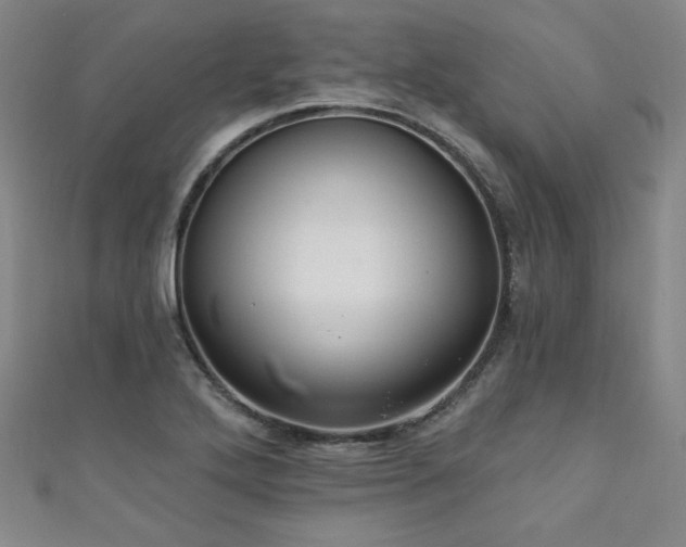 X0000111131272200906301203