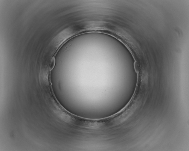 X0000111131273200906301203