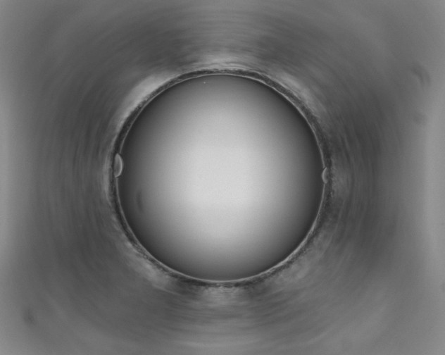 X0000111131277200906301203
