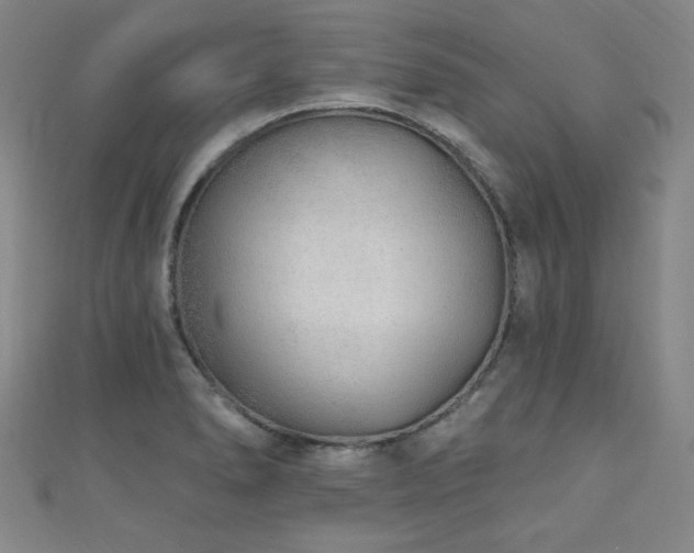 X0000111131278200906301203