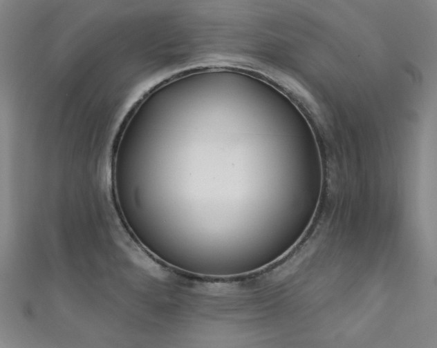 X0000111131280200906301203
