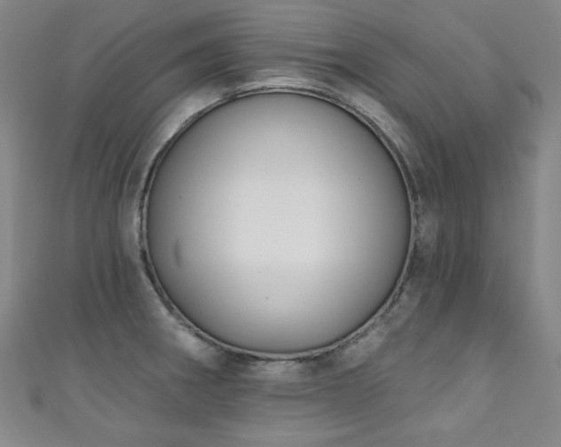 X0000111131282200906301202