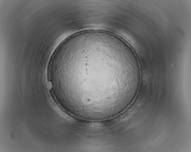 X0000111131283200906301202