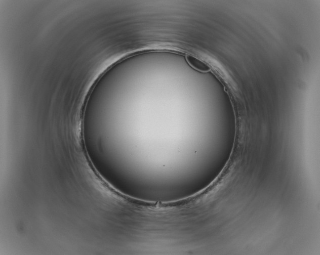 X0000111131284200906301202