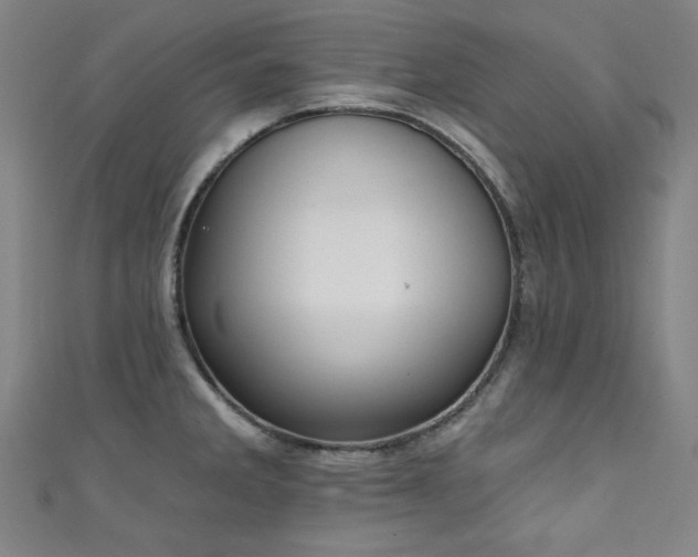 X0000111131285200906301202