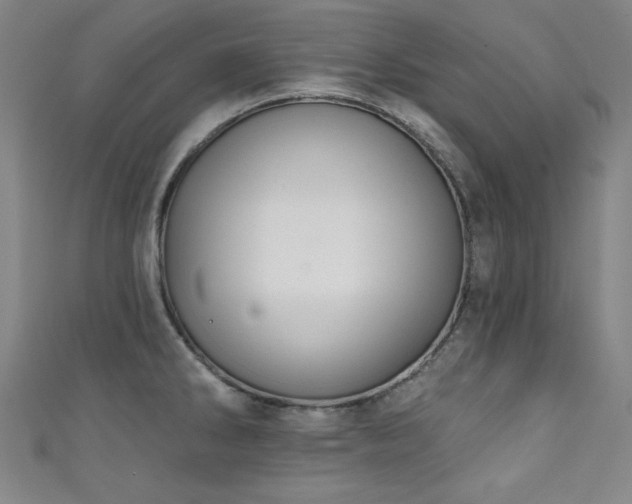 X0000111131286200906301202