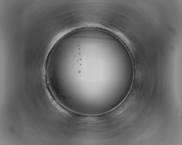 X0000111131287200906301202