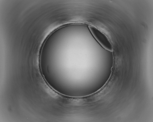 X0000111131288200906301202