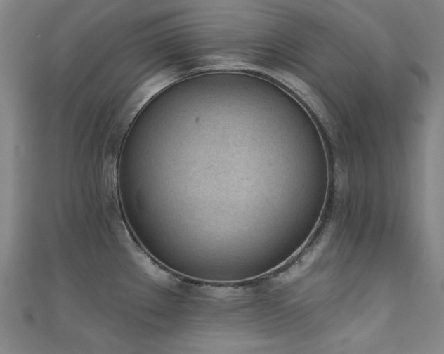 X0000111131289200906301202