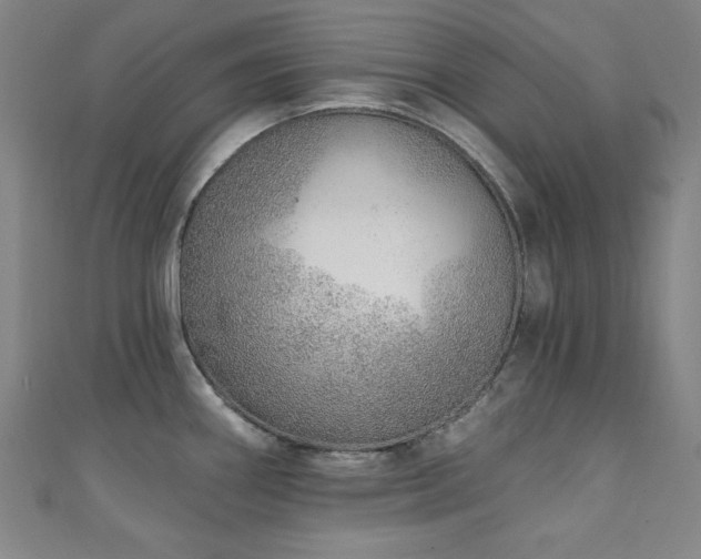X0000111131290200906301202