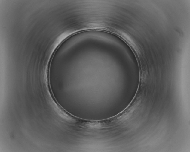 X0000111131291200906301202