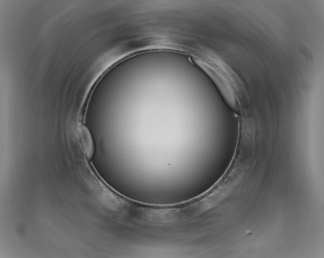 X0000111131292200906301202