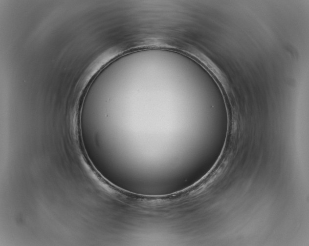 X0000111131293200906301202