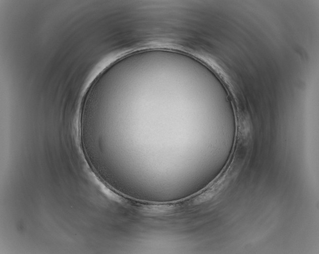 X0000111131294200906301202