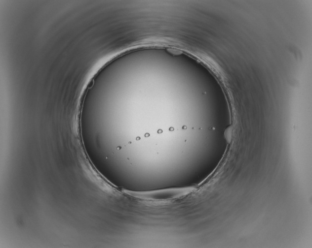 X0000111131296200906301202