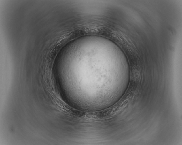 X0000111131297200906301202