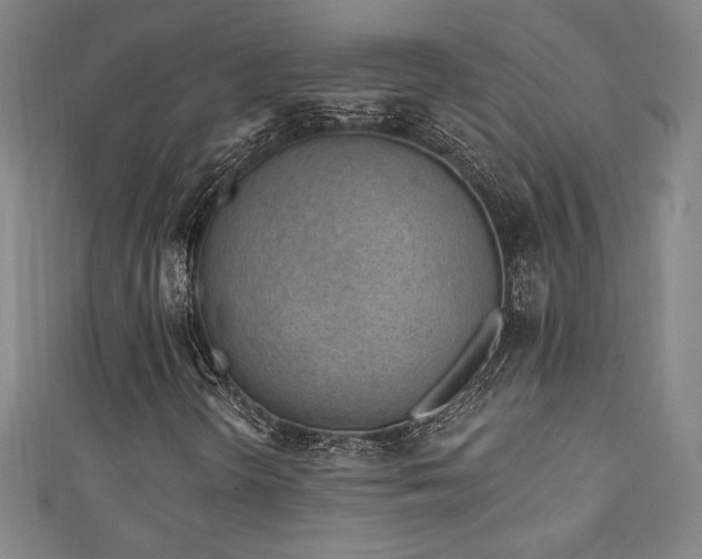 X0000111131298200906301202