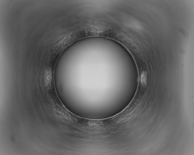 X0000111131299200906301202