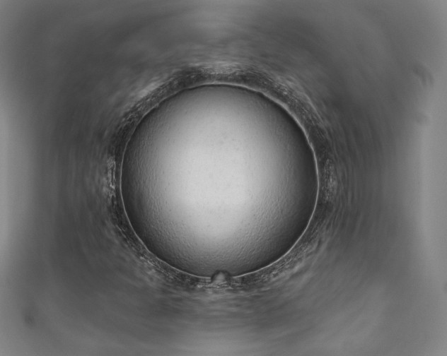 X0000111131301200906301202