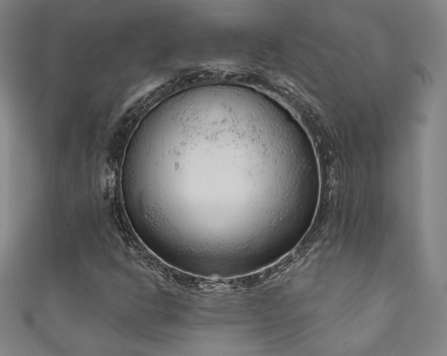 X0000111131302200906301202