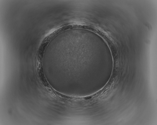 X0000111131303200906301202