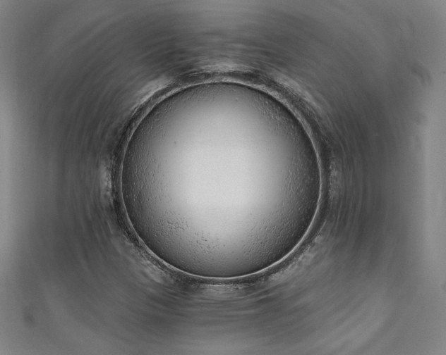 X0000111131305200906301202