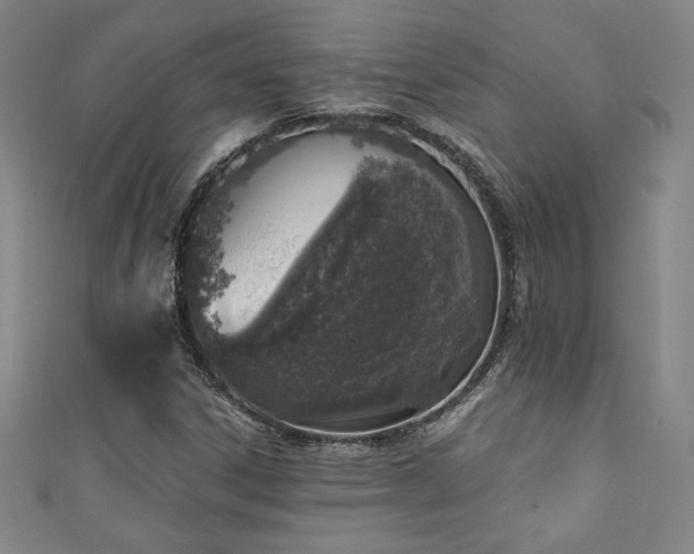 X0000111131306200906301202