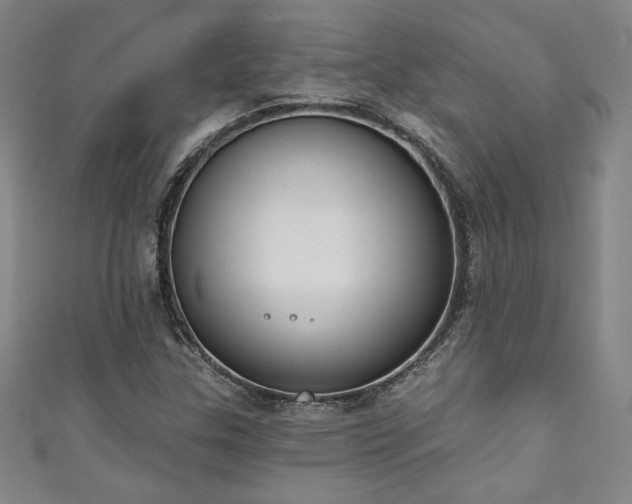X0000111131307200906301202