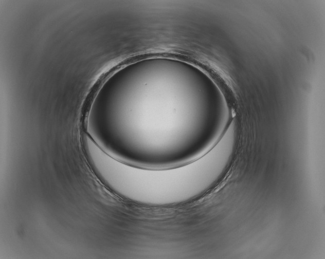 X0000111131308200906301202