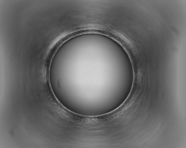 X0000111131310200906301202