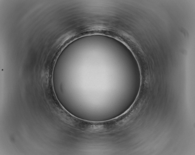 X0000111131313200906301202