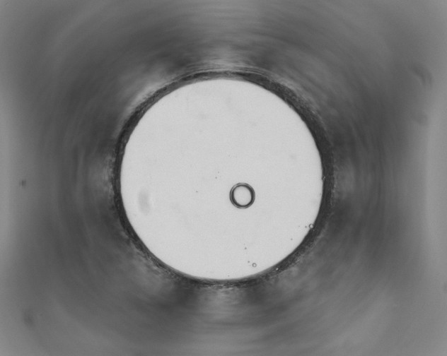 X0000111131314200906301202